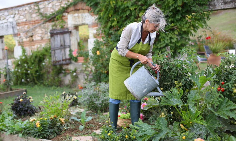 Gardening Basics