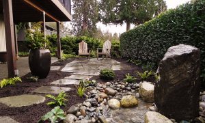 Urban Gardening: Growing Plants in Limited Spaces and Urban Environments