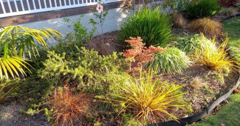 9 Things You Need to Know About Garden Maintenance in Wahroonga