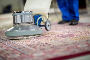 The Ultimate Guide to Prolonging Your Carpet’s Lifespan