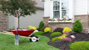 Landscaping to Prevent Basement Flooding: Tips and Tricks