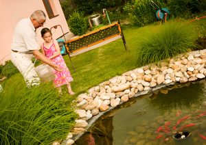 Preserving Ponds – Effective Techniques for Long-Term Health