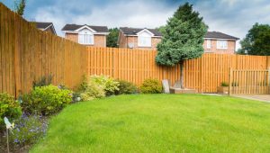 Timber vs Composite: Which Fencing Is Right for UK Gardens This Year?