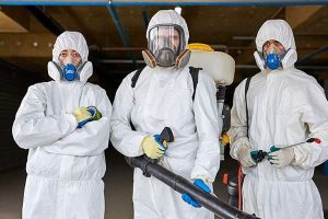 Beyond the Headlines: How Professional Cleanup Teams Bring Healing to Peoria