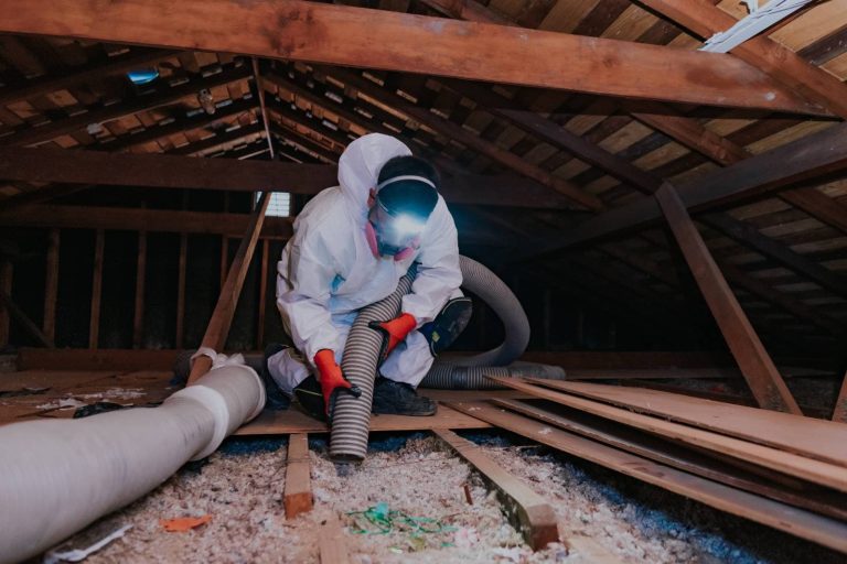 Rodent-Proofing Attics and Crawl Spaces in Lake Elsinore Homes