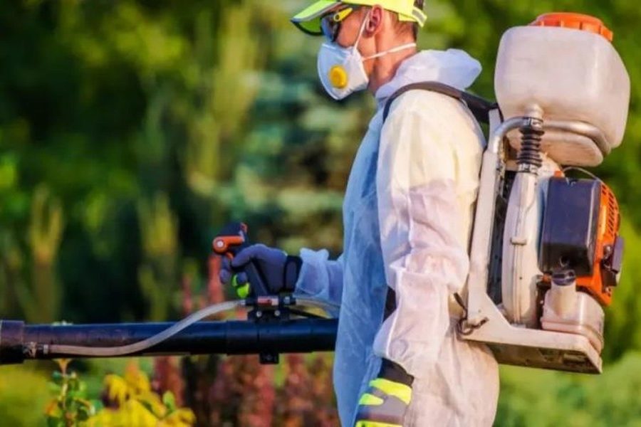 How Seasonal Changes Affect Pest Activity and What Homeowners Can Do