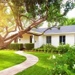 Why Regular Grass Cutting Service Matters for Property Maintenance