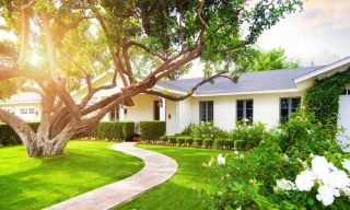 Why Regular Grass Cutting Service Matters for Property Maintenance