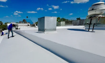 What to Do When Your Roof Starts Leaking